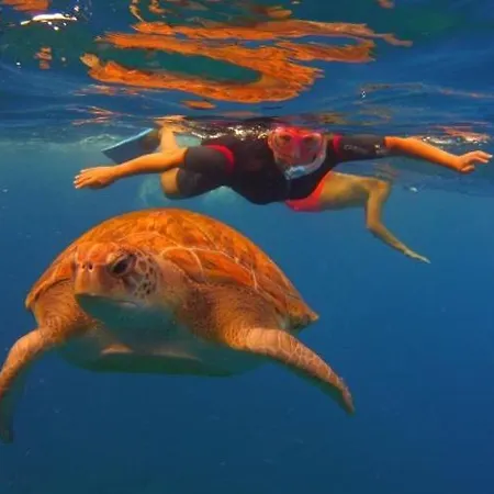 Parrot Paradise Studio, Wifi, Smart Tv, Pool Appartement