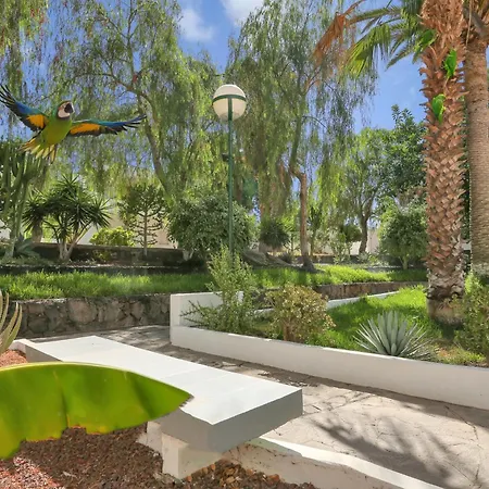 Apartment Parrot Paradise Studio, Wifi, Smart Tv, Pool Costa Del Silencio